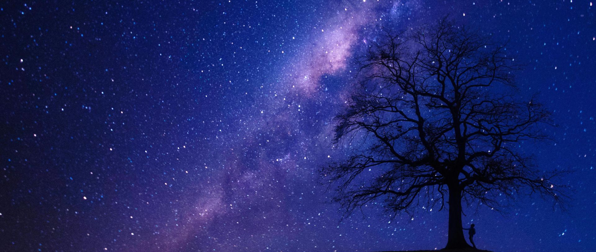 A captivating view of the starry night sky highlighting the Milky Way with a lone tree silhouette.